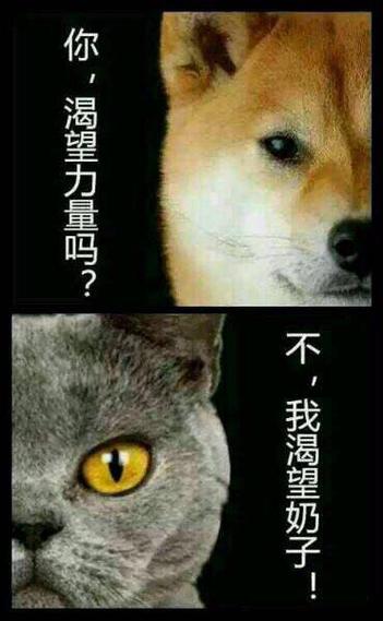 少年你渴望力量吗缩略图