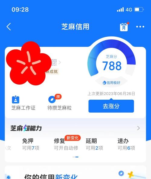 芝麻信用预授权是什么意思缩略图