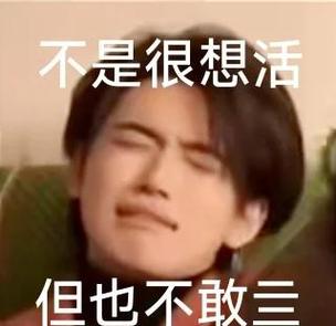 换表情的p图软件截图