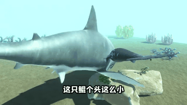 养鲲模拟器下载缩略图