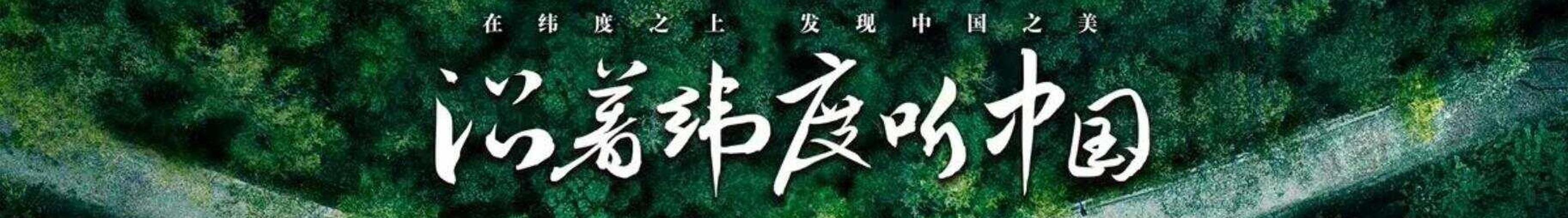 听中国app官网最新版