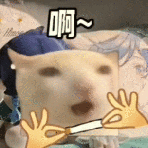 希嗨猫表情包图标