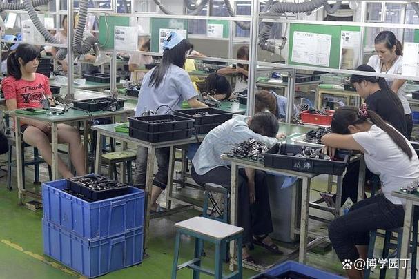 6位随机码生成器