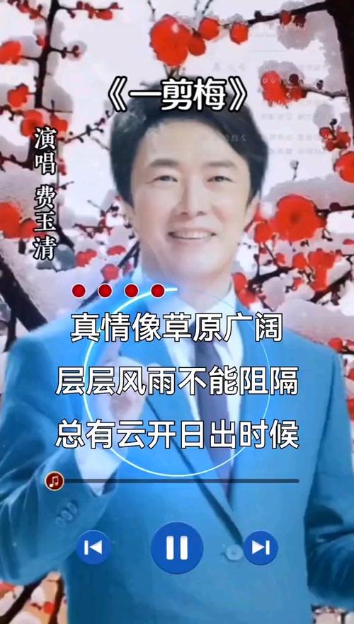 费玉清的歌曲二十首截图