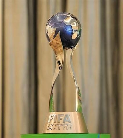 fifa17shelter图标