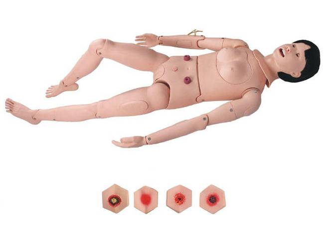 女性模型仿真模型