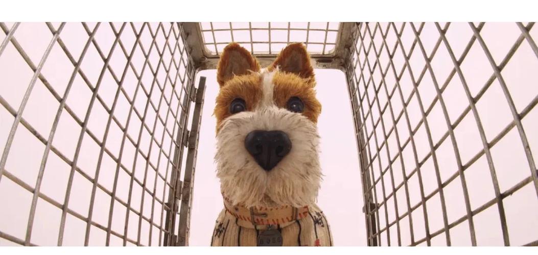 犬之岛 百度云缩略图