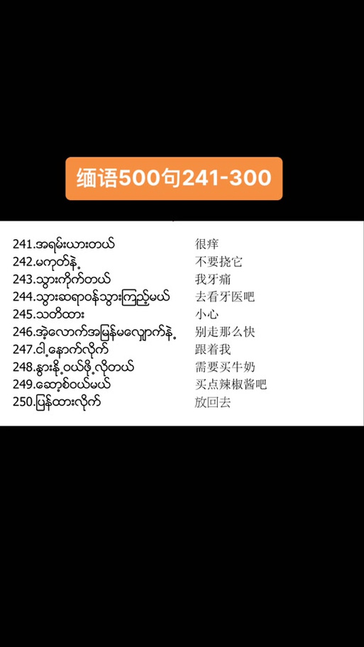 缅甸语翻译中文翻译器