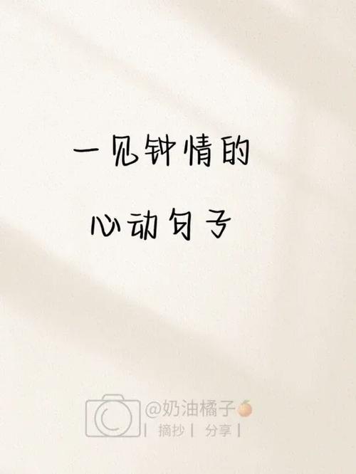 让顾客心动的经典句子截图