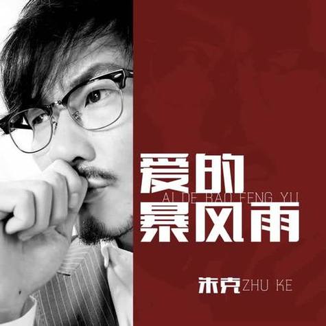 爱的暴风雨翻唱缩略图