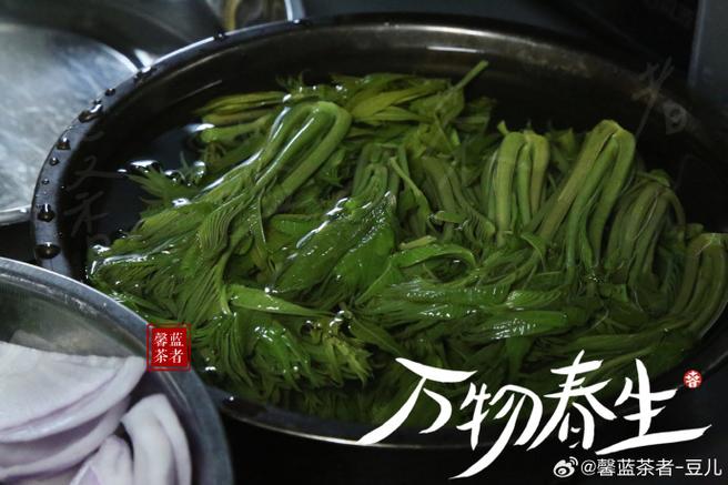 香椿茶的制作方法