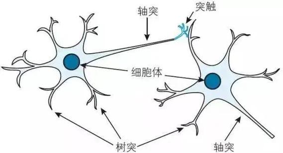 如何建立大脑图书馆截图