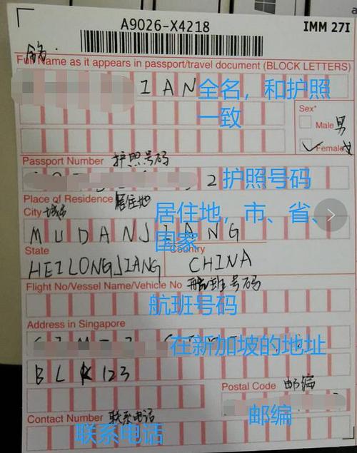 新加坡入境卡电子版图标