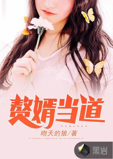 入赘为婿岳风笔趣阁