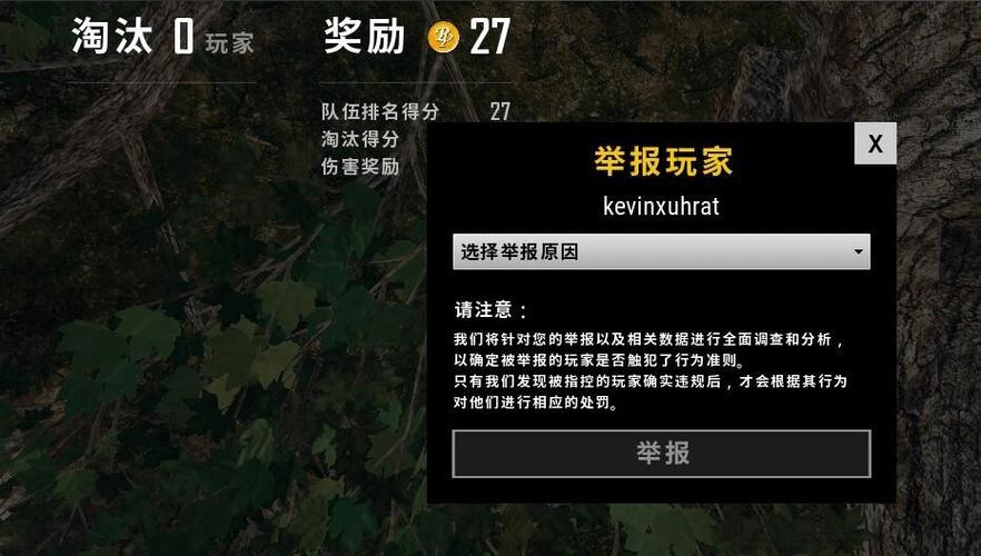 绝地求生如何举报敌人截图