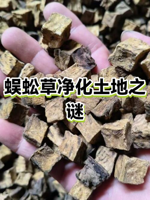 土地属于可再生资源吗截图