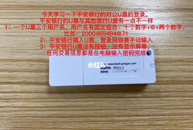 平安银行u盾办理需要什么条件缩略图