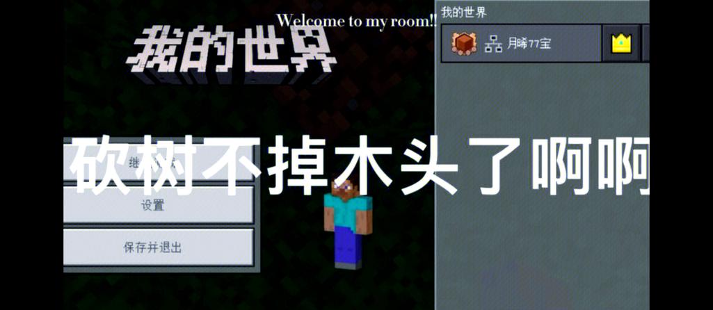 我的世界砍树不掉东西