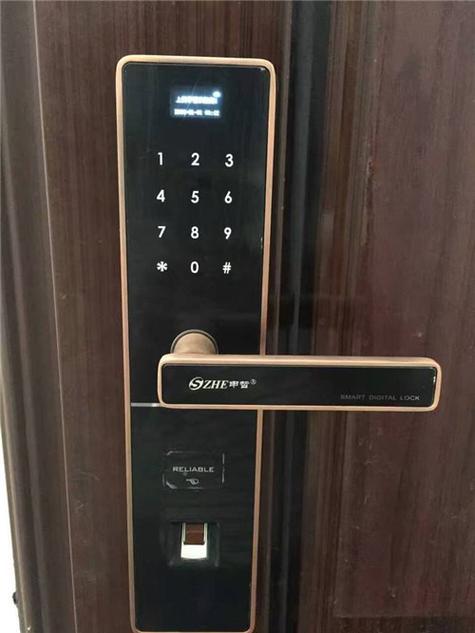 密码指纹锁自己响