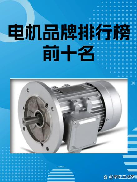 国产电机十大名牌排名图标