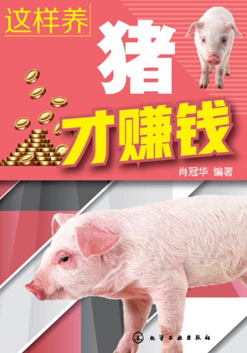一起来养猪赚钱app下载图标