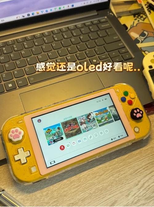 switch家庭版和个人版区别