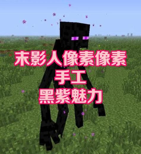 我的世界末影人盒子(公益版)图标