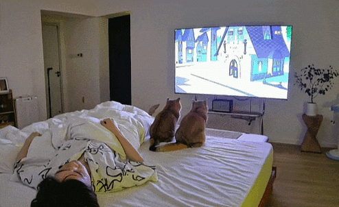 猫可以看电视吗游戏截图