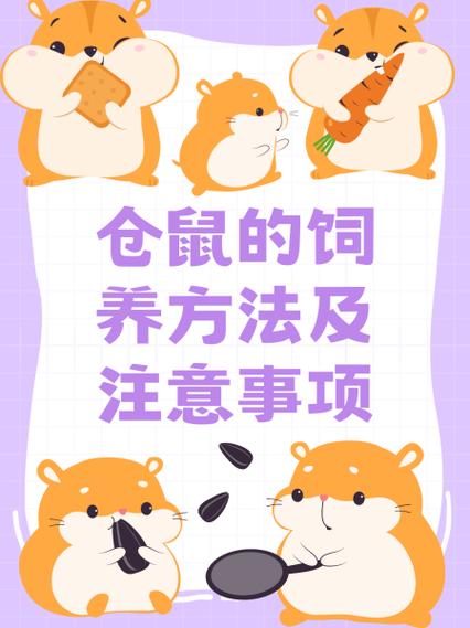 养仓鼠的正确方法图标