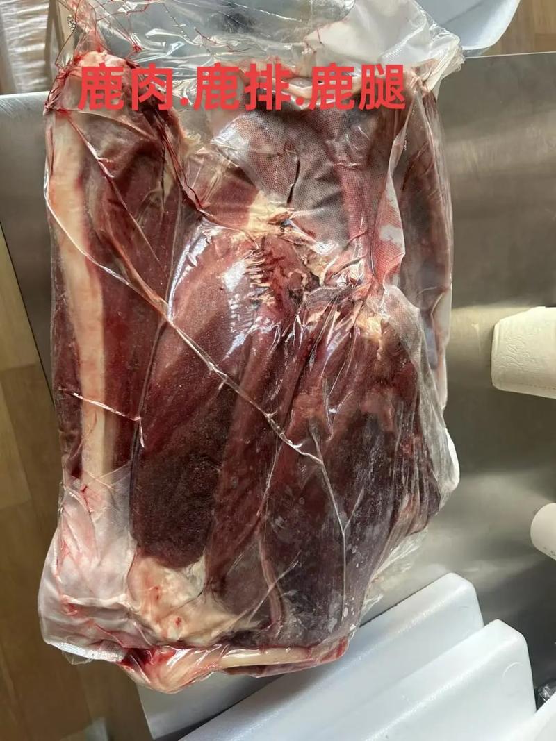 珊瑚鹿腿