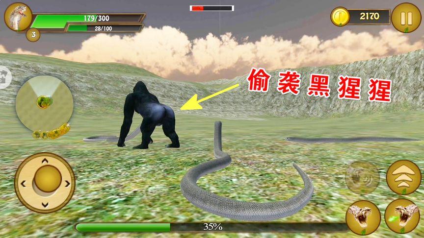 蟒蛇模拟器PolarBears
