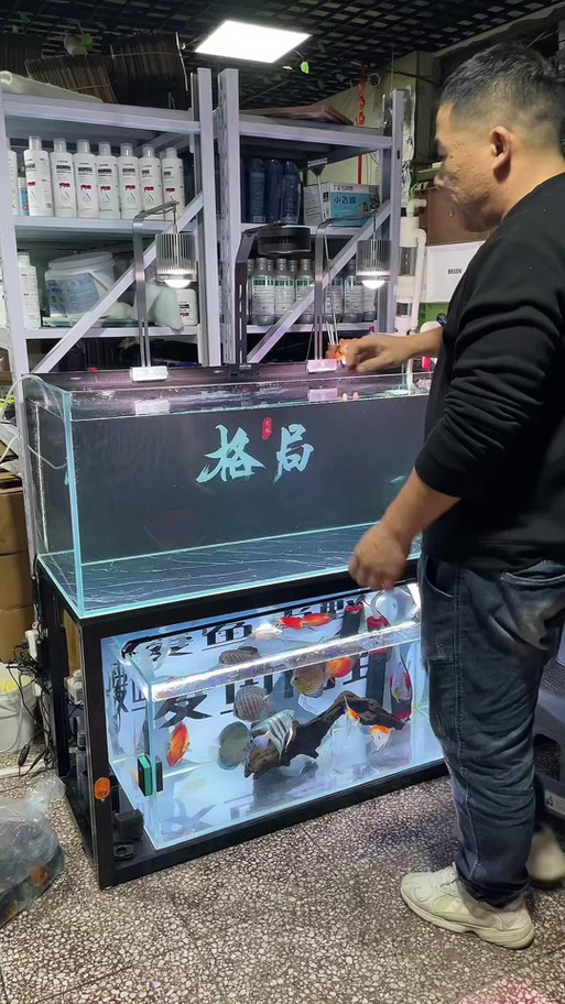 鱼缸养水需要开灯吗