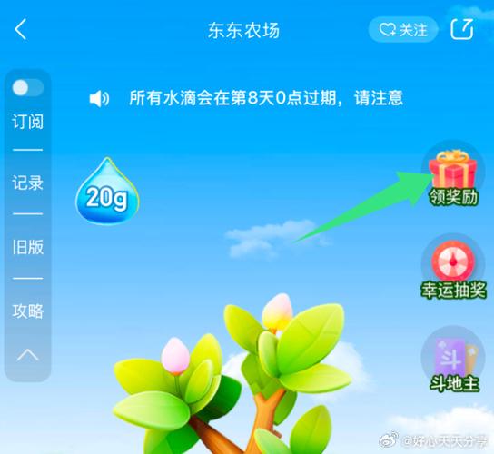 京东东东农场为什么进不去截图