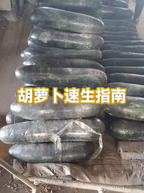 速速胡萝卜哪里刷