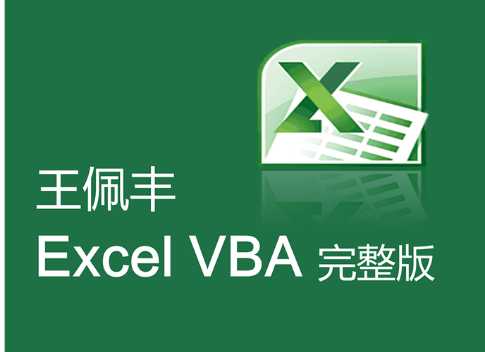 王佩丰vba教程网盘截图