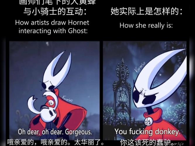 空洞骑士有几个版本图标