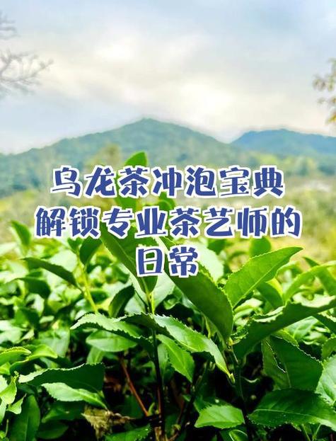 茶室收费价目表缩略图