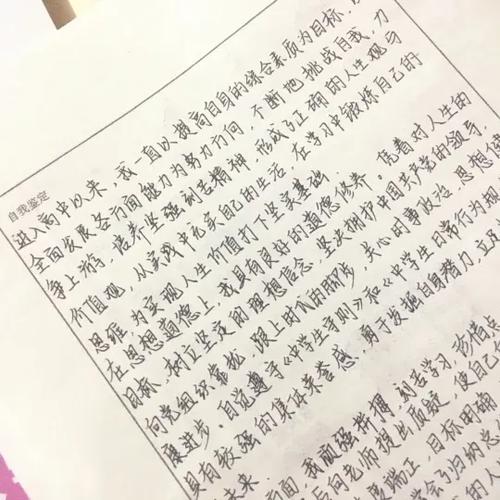 高中生自我陈述800字可复制图标