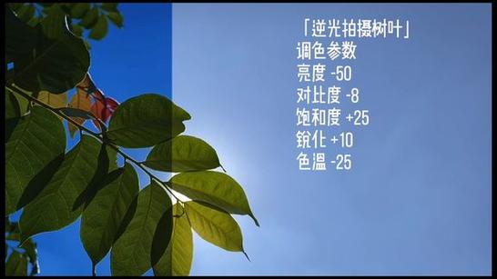 逆光拍摄参数调整方法