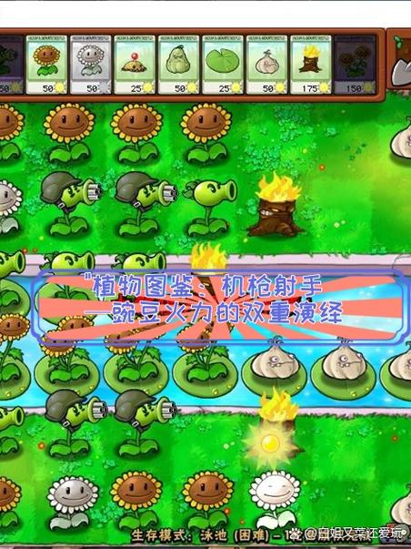 植物大战僵尸修改器作弊菜单图标