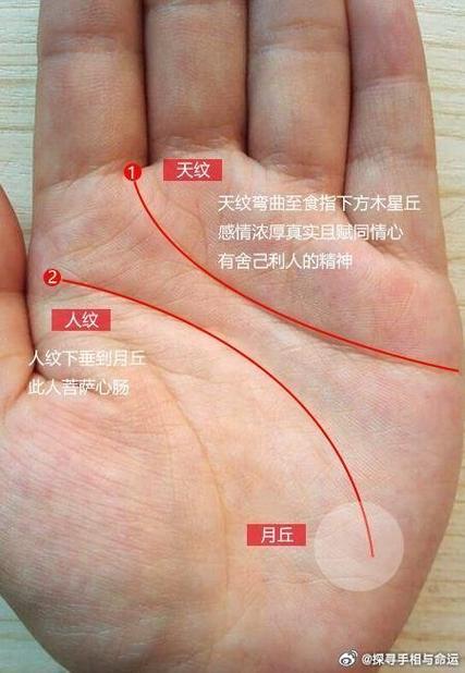 手相感情线是哪一条游戏截图
