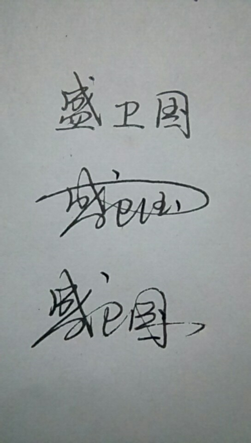 盛连笔字图标