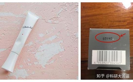 pola生产日期对照表游戏截图