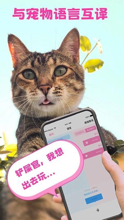 猫语翻译器免费版图标