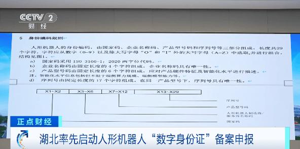 身份证丢失挂失流程游戏截图