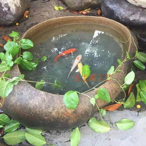 鹅卵石放鱼缸大忌