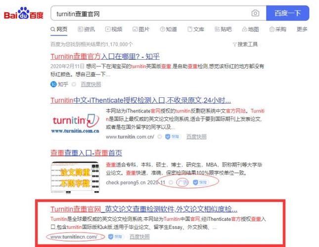 turnitin怎么查重截图