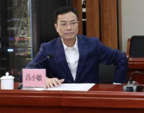 吕小敏的出生背景和经历图标