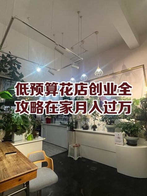 开一个工作室需要多少钱截图