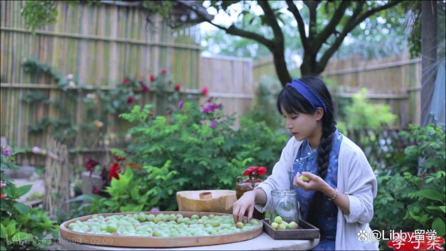 李子柒视频最新作品截图